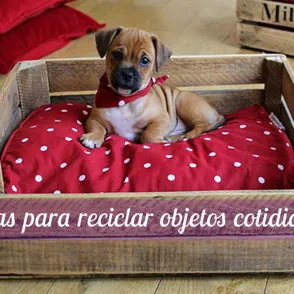 La magia del DIY: ideas para reciclar objetos cotidianos