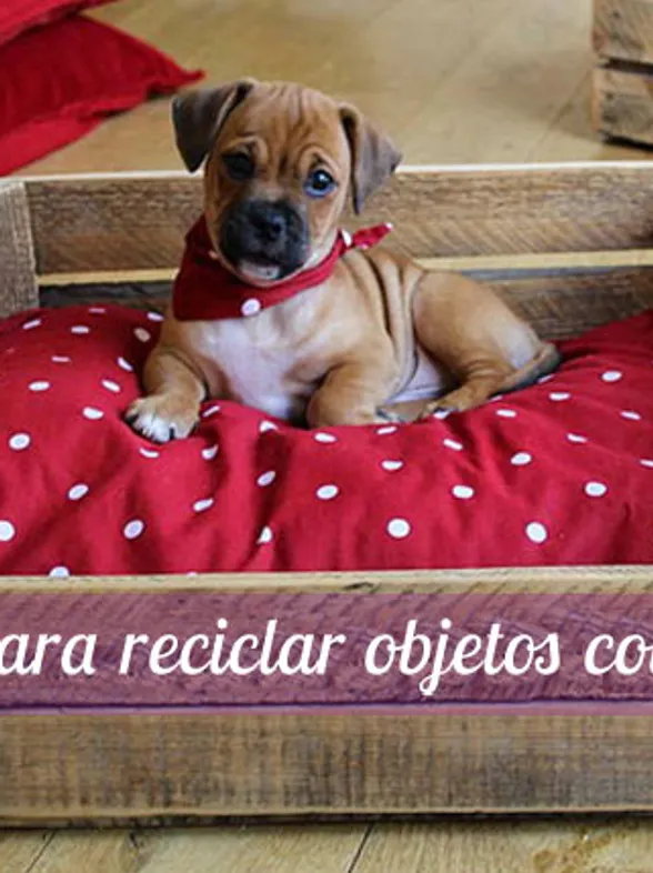 La magia del DIY: ideas para reciclar objetos cotidianos