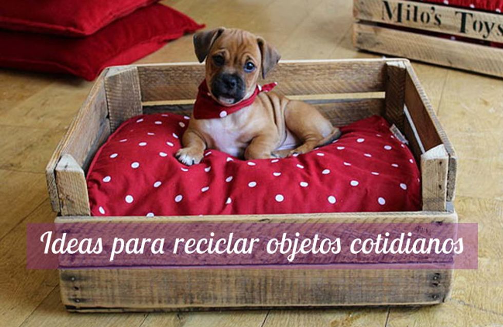 La magia del DIY: ideas para reciclar objetos cotidianos