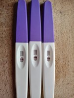 Teste De Ovulation Clearblue Digital Positif Et Une