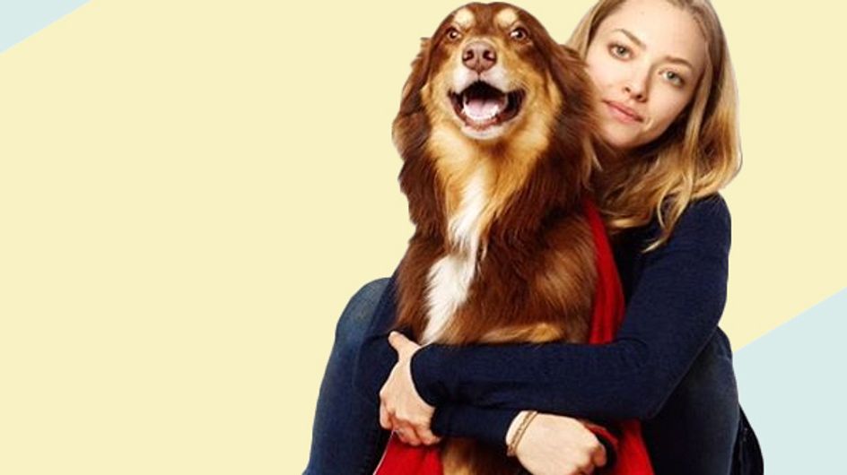 Pets de famosos que têm conta própria no Instagram