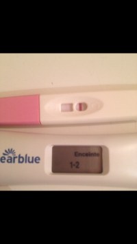 Avis Sur La Lecture De Mon Tg