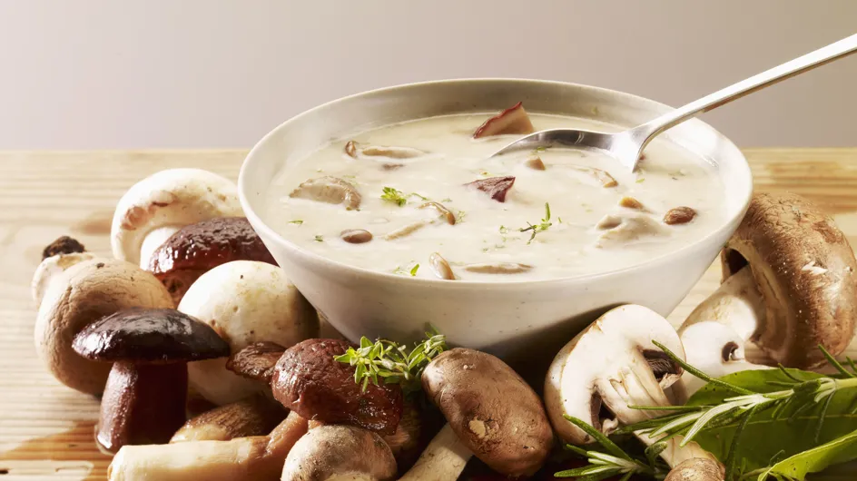 Champignons, plein de recettes de champignons pour enchanter vos assiettes