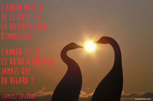 Les Plus Belles Citations Pour Faire Le Plein D 039 Amour