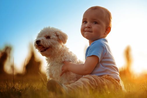 Fotos entrañables de perros y niños