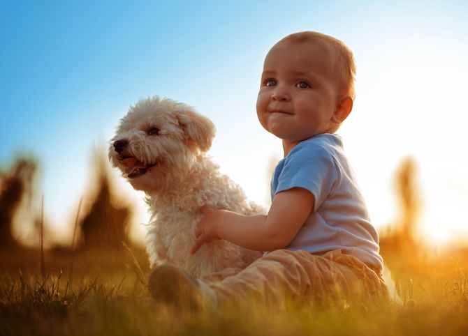 Fotos entrañables de perros y niños