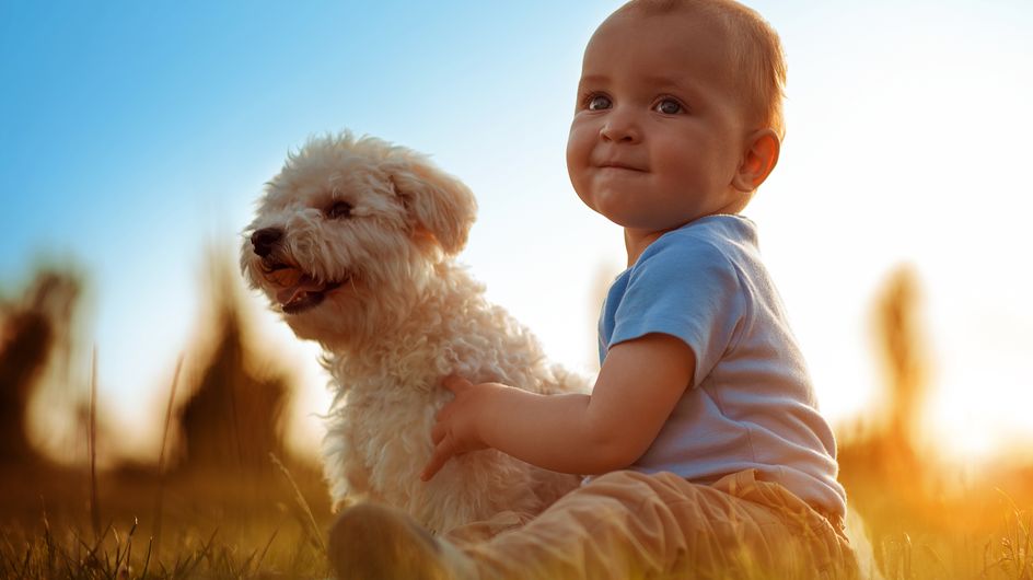 Fotos entrañables de niños con perros, ¡prepárate para emocionarte!
