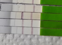 Ovulationstest Plotzlich 3 Tage Positiv