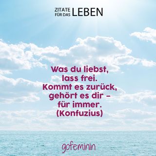 Humorvoll Amp Weise Die Schonsten Zitate Fur Das Leben