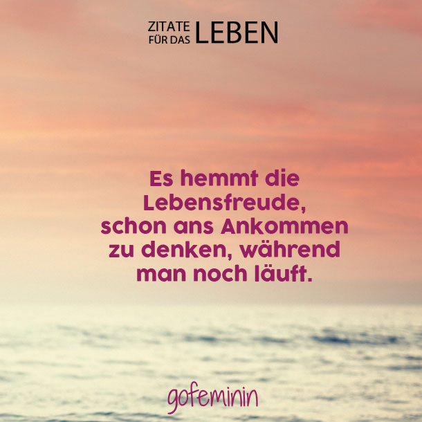 Humorvoll Amp Weise Die Schonsten Zitate Fur Das Leben