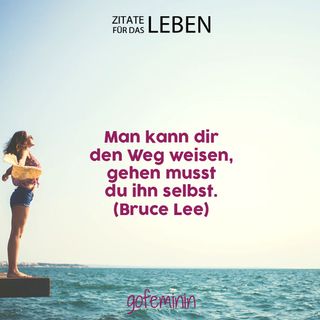 Humorvoll Weise Die Schonsten Zitate Fur Das Leben Fotoalbum