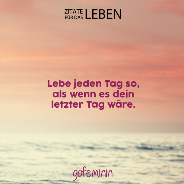 Humorvoll Amp Weise Die Schonsten Zitate Fur Das Leben