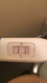 Essai Bebe 1