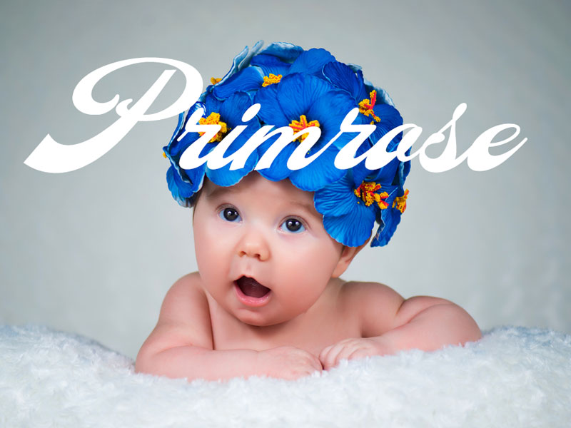 Perfect baby names for February