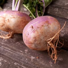 Vegetables of the cabbage family