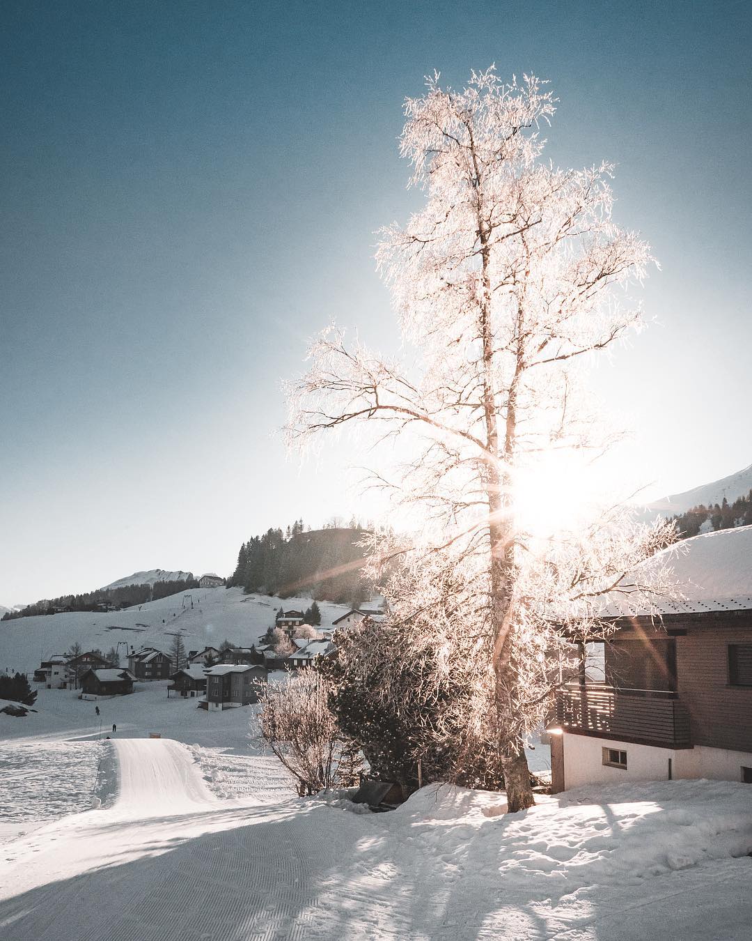 Magia D 039 Inverno Splendidi Paesaggi Innevati Da Tutto Il Mondo