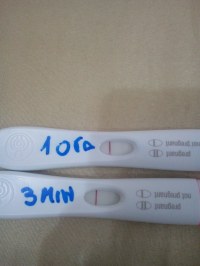 Test Con Linea Chiarissima