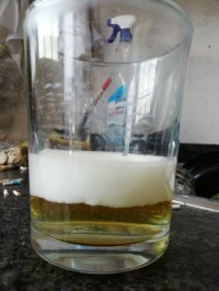 prueba de embarazo casera lejia