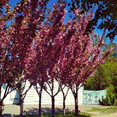 Natur, Landschaft, Reise