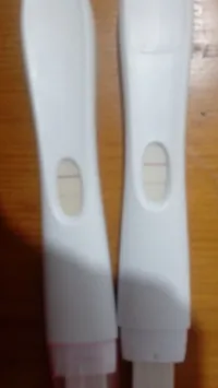 Test De Embarazo Alta Sensibilidad