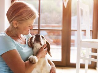 Perros ideales para personas mayores