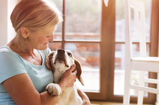 Perros ideales para personas mayores