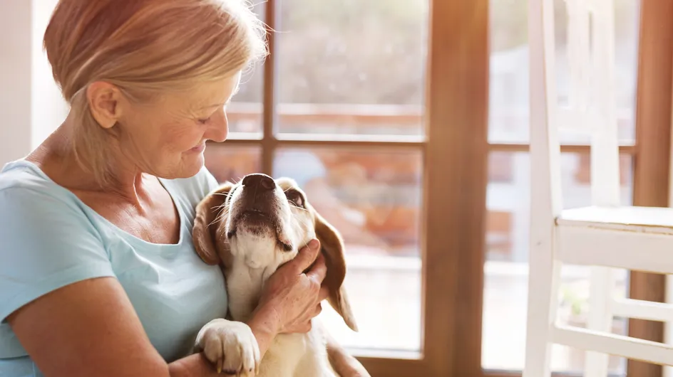 30 razas de perros tranquilos ideales para personas mayores
