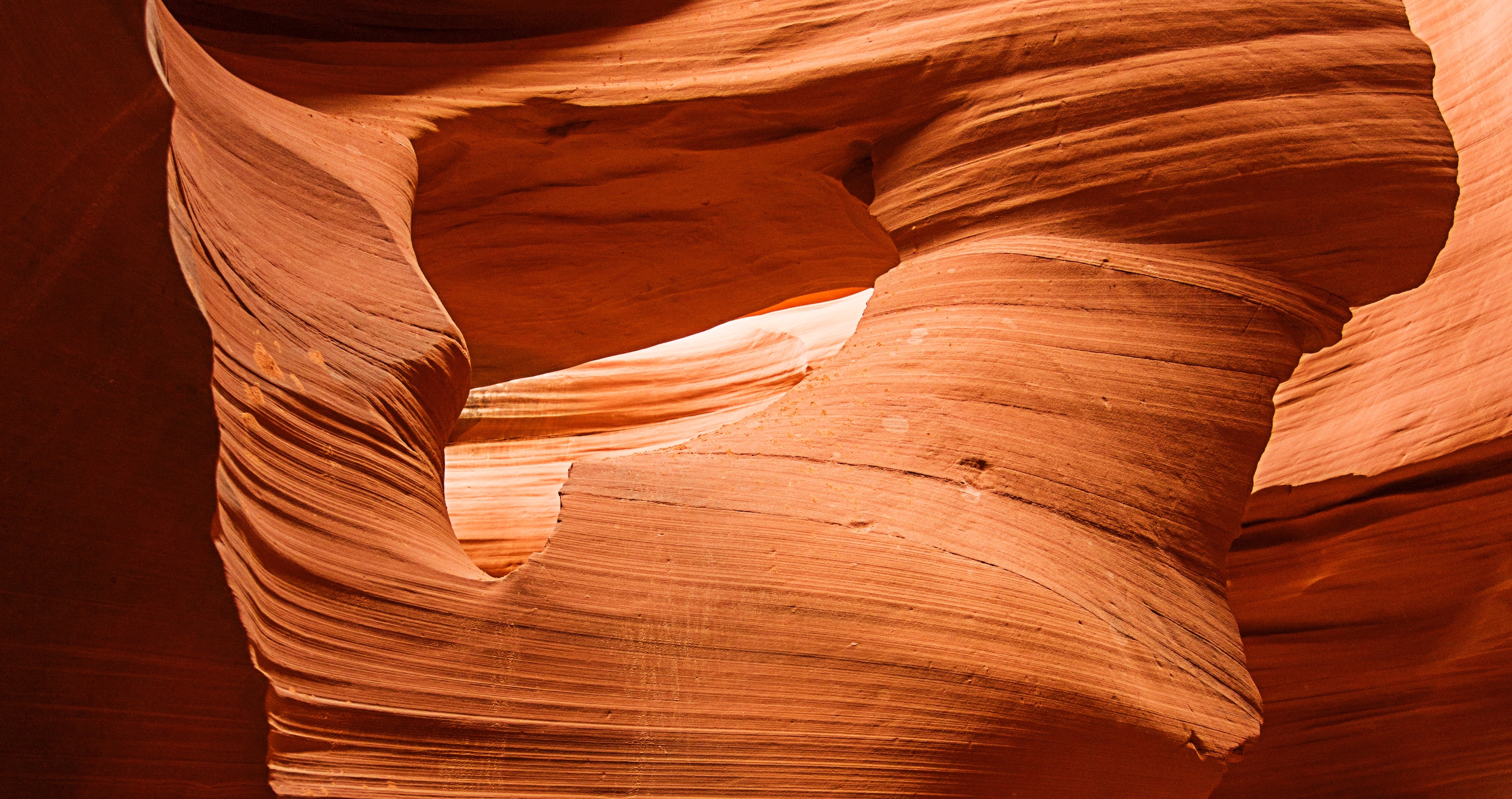 Sognare Pidocchi Significati E Interpretazioni