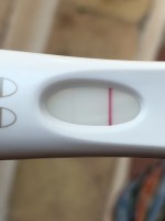 Linea Finissima Nel Test Di Gravidanza