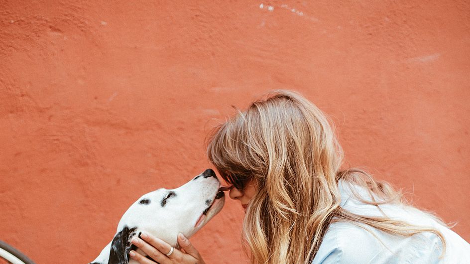 Aufgepasst! Das verrät dein Hund über deine Persönlichkeit