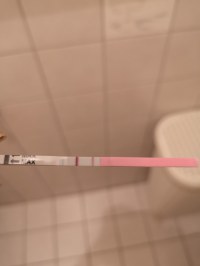 Eisprung 2 Tage Vorher Sex Stillen