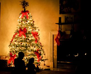 Alberi Di Natale Originali.Idee Per L Albero Di Natale Ecco Quelli Piu Belli E Originali Album Di Foto Alfemminile