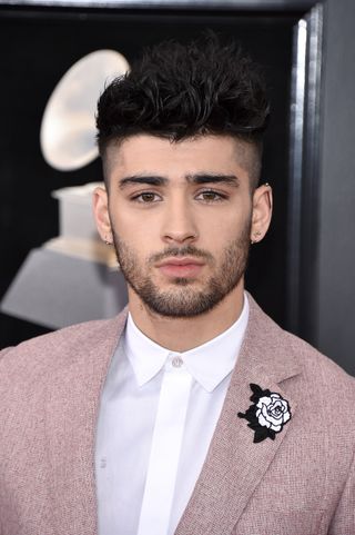 Zayn Malik tiene como mascota...