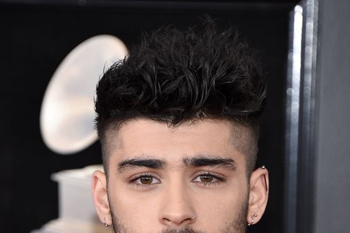 Zayn Malik tiene como mascota...