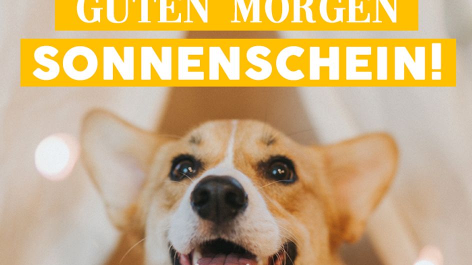Guten Morgen! Die schönsten Bilder und Sprüche zum Teilen
