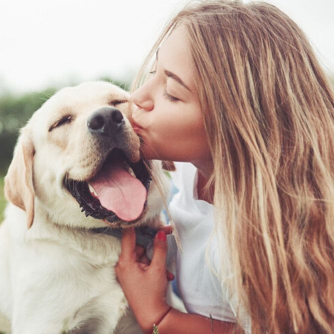 I cani perfetti per ogni segno zodiacale