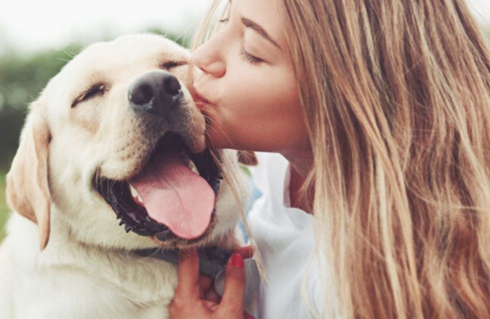 La raza de perro ideal según tu signo del zodiaco