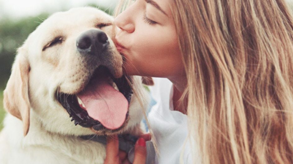 Tierisches Horoskop: Das ist der ideale Hund für dein Sternzeichen