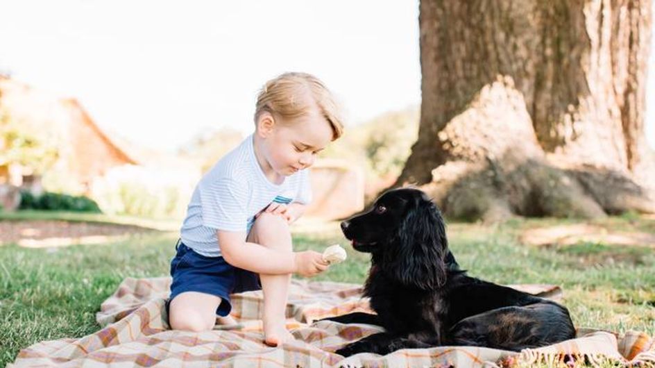 50 famosos que están locamente enamorados de sus perros