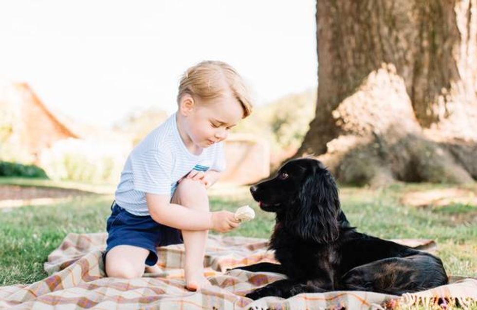 50 famosos que están locamente enamorados de sus perros