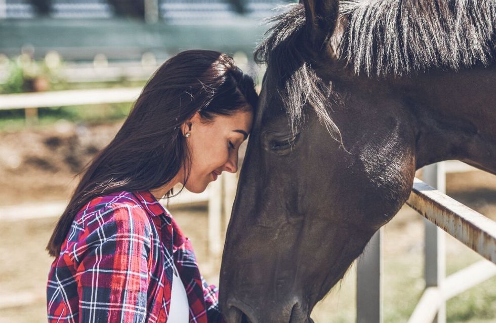 ¿Cuál es tu Tótem (animal) según tu signo del zodiaco?