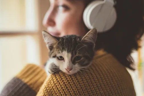 Die perfekte Katze für dein Sternzeichen