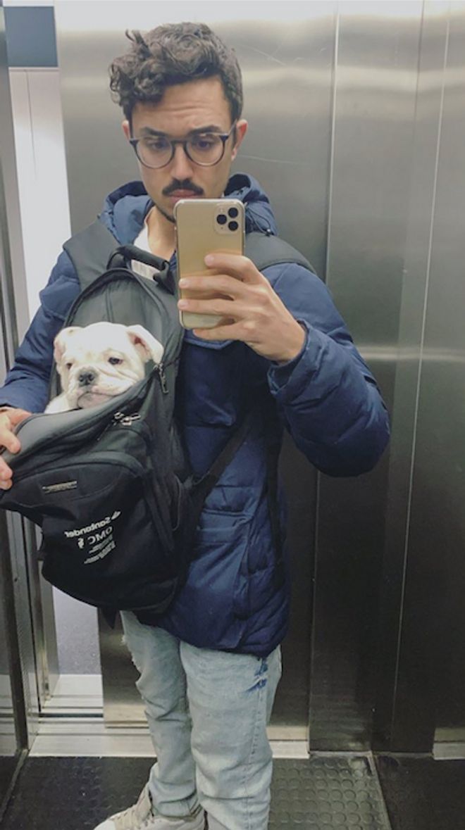 Carlos Ríos, último en sumarse a la moda: famosos obsesionados con sus bulldog