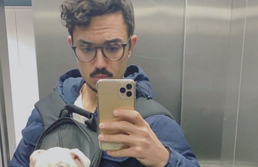 Carlos Ríos, último en sumarse a la moda: famosos obsesionados con sus bulldog