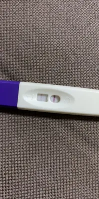 Test d'ovulation positif ou non?