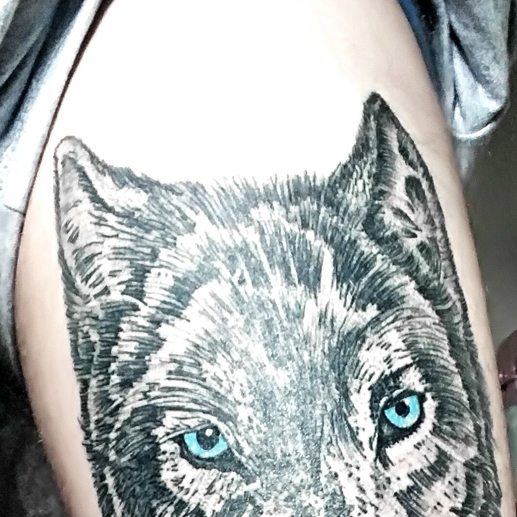 Tatouage loup yeux bleu