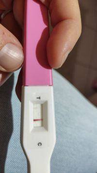 Risultato Test Di Gravidanza