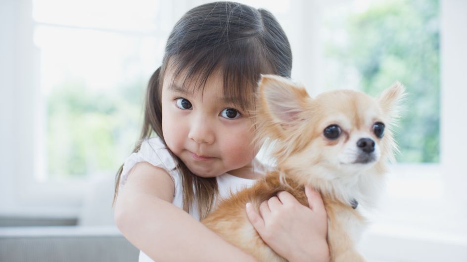 Beste Familienhunde: Diese Hunderassen sind besonders geeignet