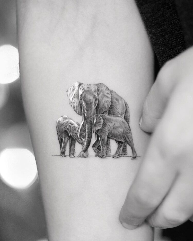 Tatouage Elephant Cet Animal S Invite Dans Vos Tattoos