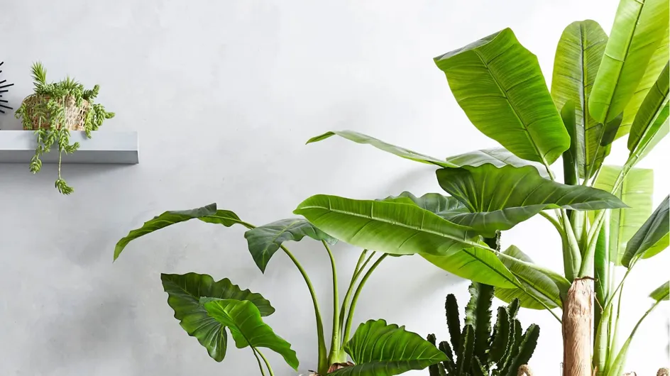 Terrasse : 30 cache-pots pas chers pour sublimer vos plantes